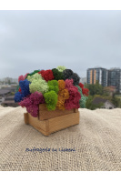 cod_6_2_2_minijardiniera_poza_3