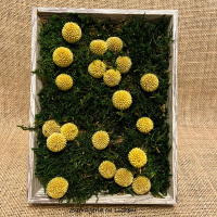 97a867c2-303b-4531-92fb-ada08ccc8405