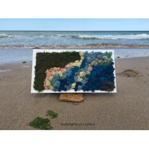 cod_1_1_5_tablou_shabla