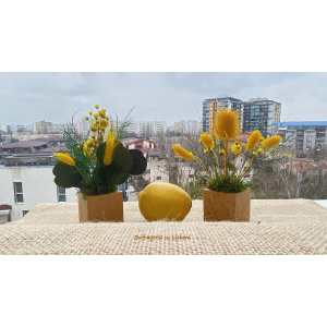 cod_4_18_aranjament_combinat