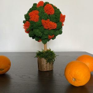 fullsizerender-4_1737317276