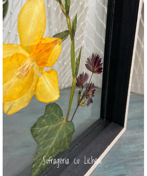 11390fc1-d61c-4586-98cc-b4d4990532a1