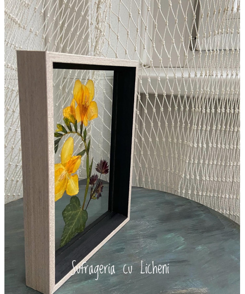 3ed9fedf-802e-4622-ac9a-9f3e9774ad34