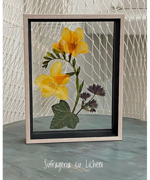 4948fe1f-5cc3-4898-9759-34e72f546966