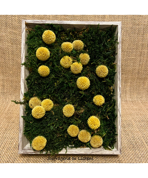 97a867c2-303b-4531-92fb-ada08ccc8405