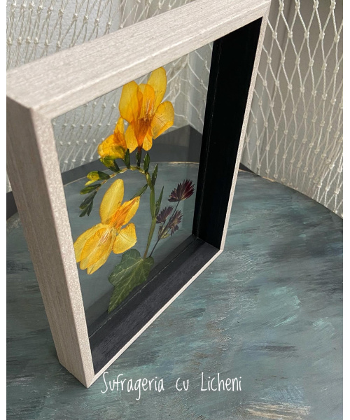 998aa109-a527-499d-bf98-20edddb90951