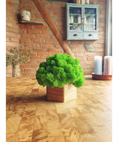 aranjament_florentin_1