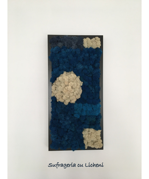 cod_1_1_11_tablou_petece_1_1288816894