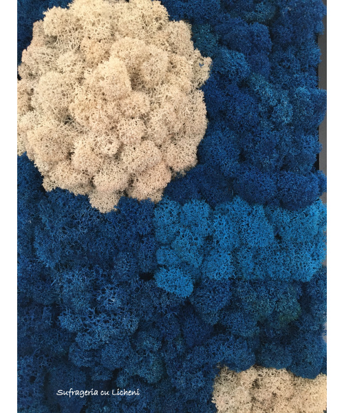 cod_1_1_11_tablou_petece_4_1302805556