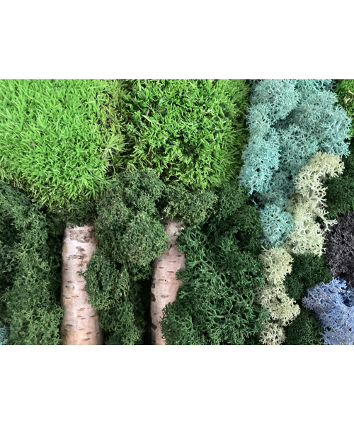 cod_1_1_12_tablou_luminis_poza_3