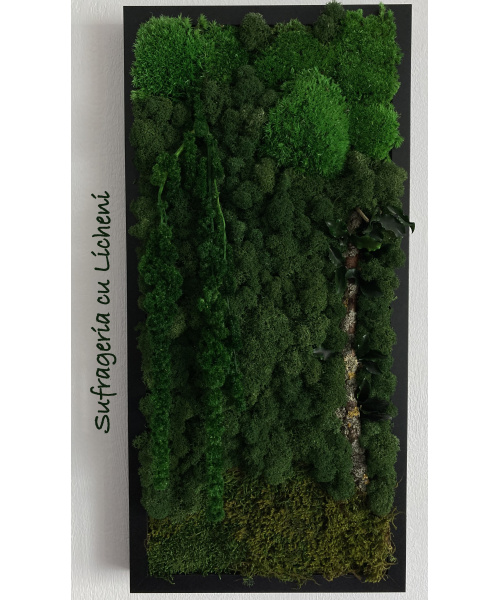 cod_1_1_2_tablou_padurea_neagra_poza_1_2106010003