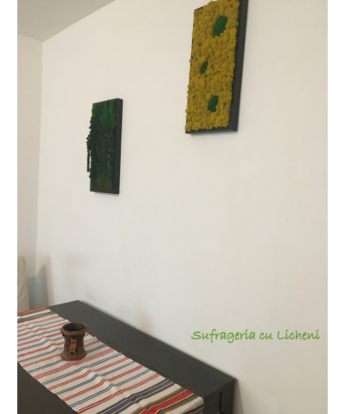 cod_1_1_3-1_tablou_musetel_1040650971