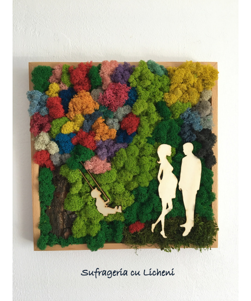 cod_1_1_4_tablou_familie