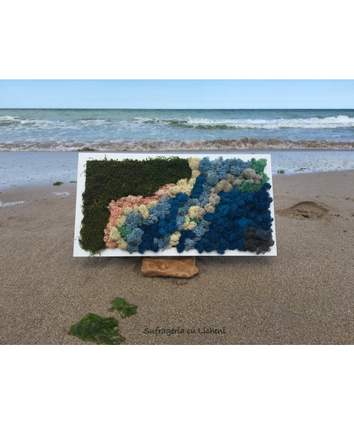 cod_1_1_5_tablou_shabla