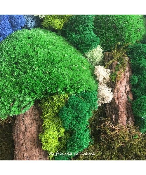 cod_1_1_6_-_1_tablou_padurice