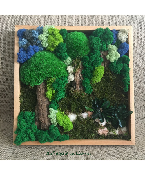 cod_1_1_6_tablou_padurice