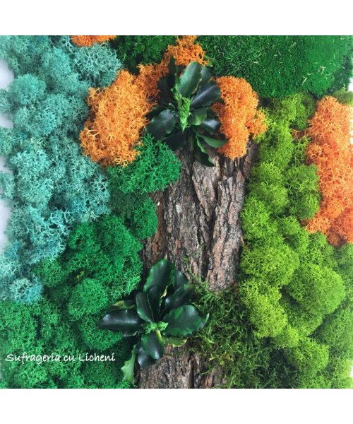 cod_1_1_8_tablou__portocaliu_2_1500613770