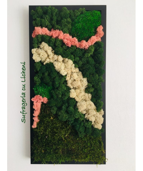 cod_1_1_9_untul_pamantului_1_806115064