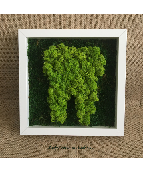 cod_1_2_11_tablou_maseluta