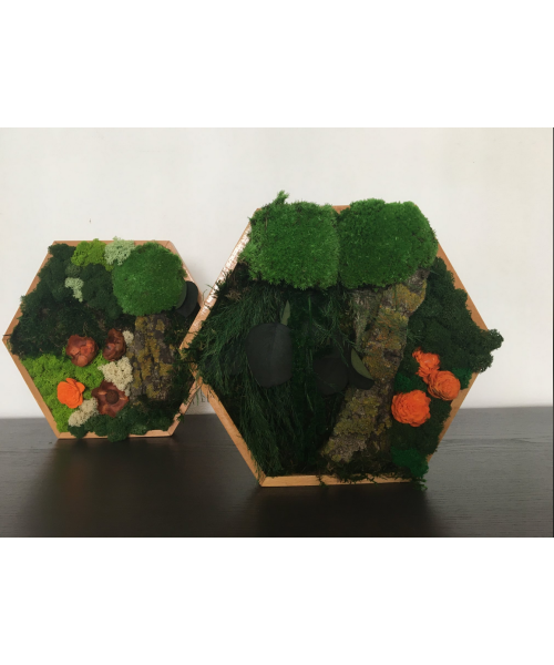 cod_1_2_20_tablou_hexagon_2_1932393318