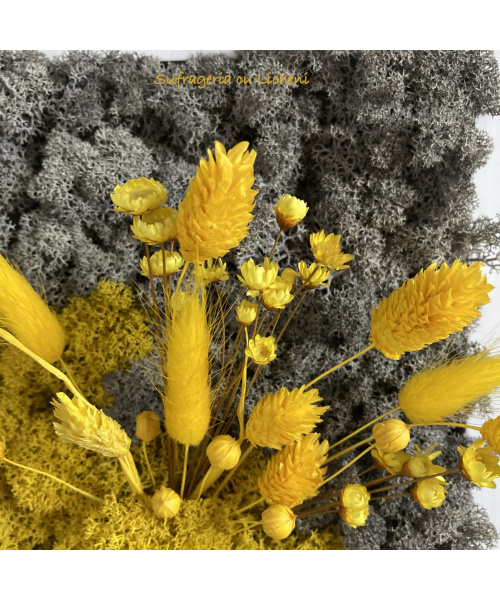 cod_1_2_22_tablou_andrei_poza_3