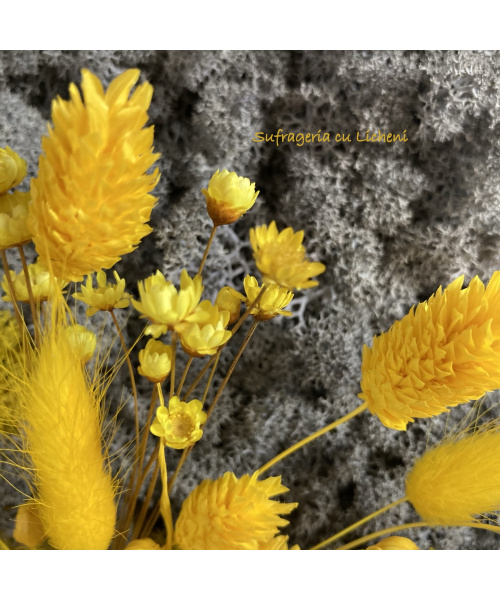 cod_1_2_22_tablou_andrei_poza_4