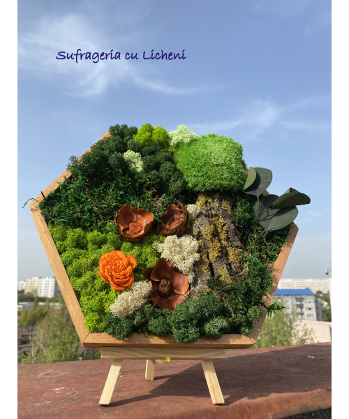 cod_1_2_5_1_tablou_hexagon