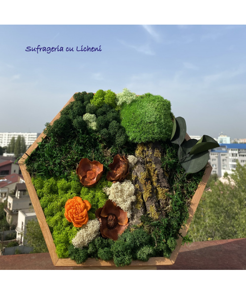 cod_1_2_5_2_tablou_hexagon