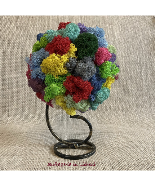 cod_4_24_aranjament_ce_chestie_poza_1