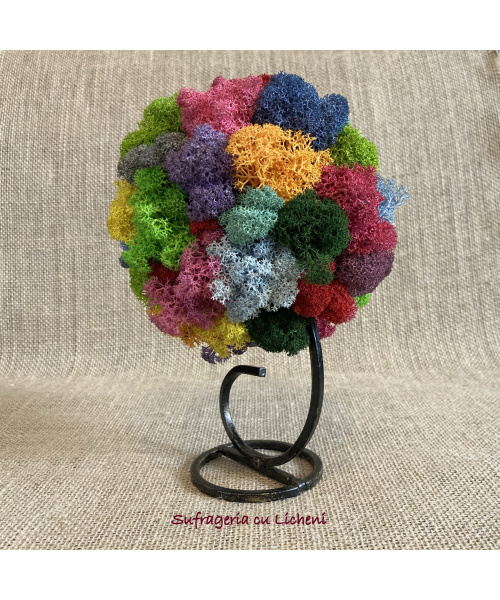 cod_4_24_aranjament_ce_chestie_poza_2