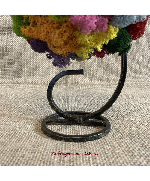 cod_4_24_aranjament_ce_chestie_poza_3