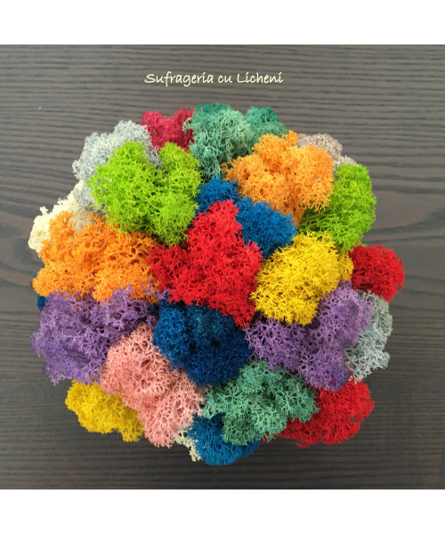 cod_6_2_2_minijardiniera_poza_3