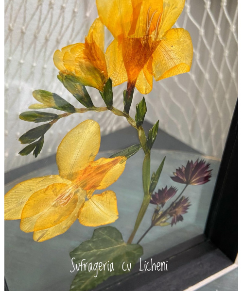 e047d0fc-23bd-4d58-8cb6-846b69e8642a