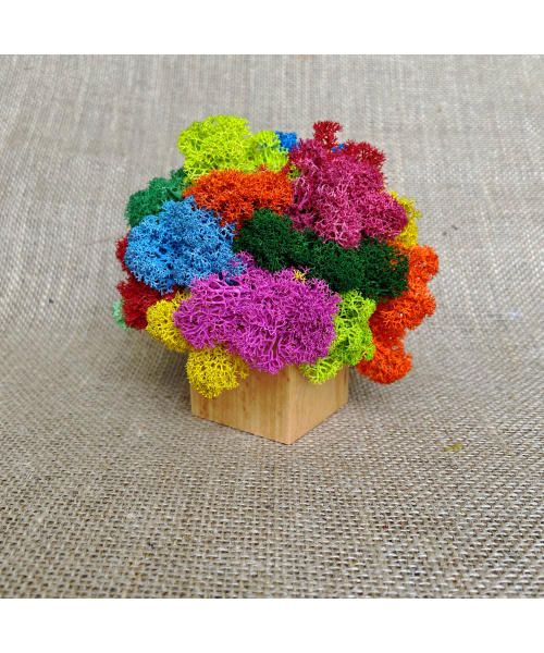 fullsizerender-1_2122819708