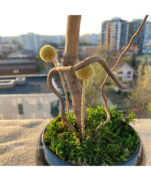 fullsizerender-1_610992516