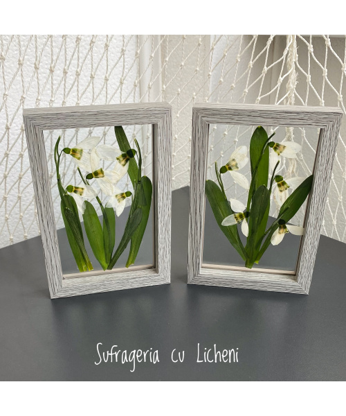 fullsizerender-2_899022556