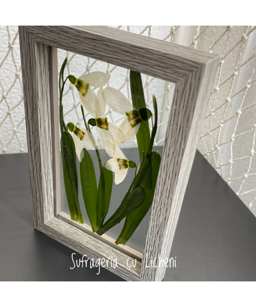 fullsizerender-4_383399247