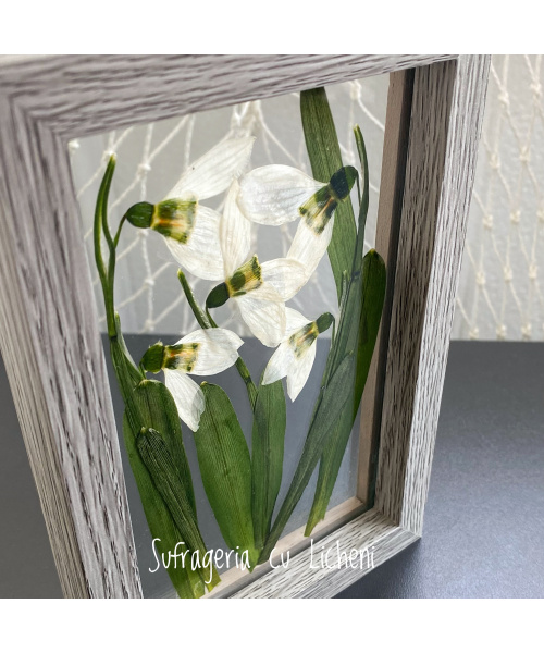 fullsizerender-6_140370042