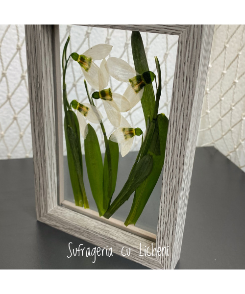 fullsizerender-7_1476650512