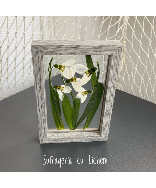 fullsizerender_1664793928