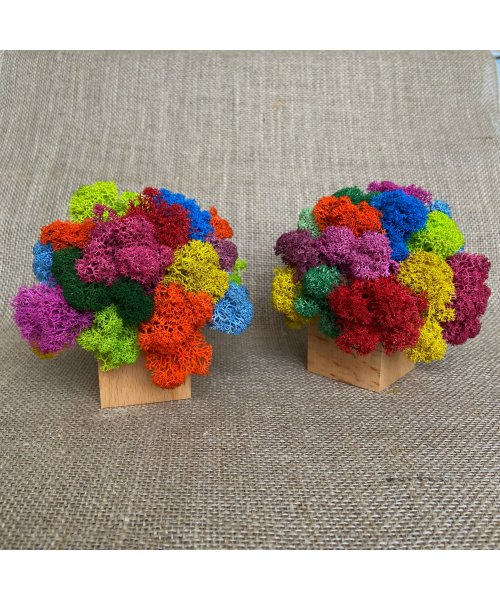 fullsizerender_1693727482