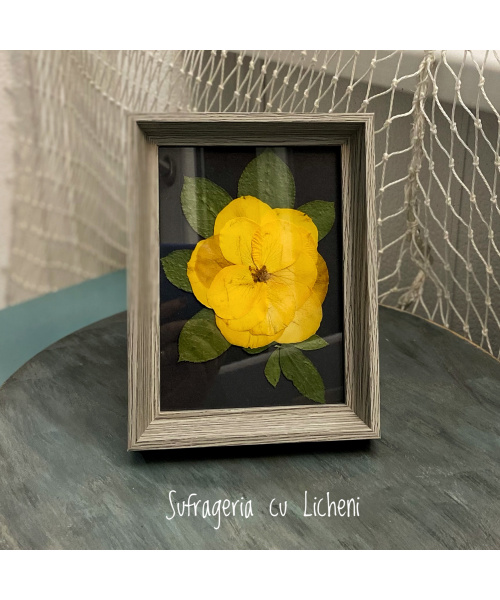 fullsizerender_250845557