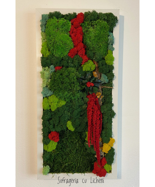 img_1643-1_1146558959