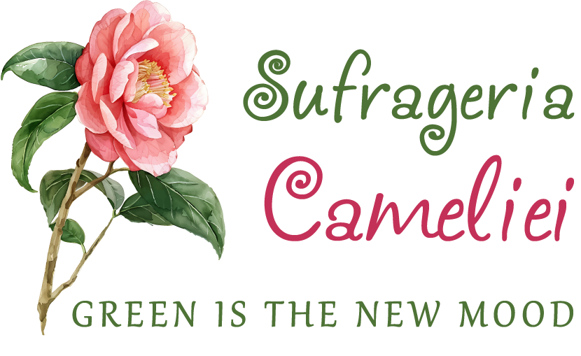 Sufrageria Cameliei