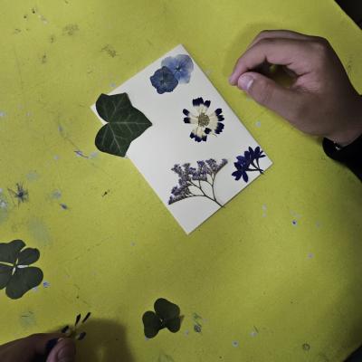 051d5468 51da 4f5d Ace2 89281bf2325d