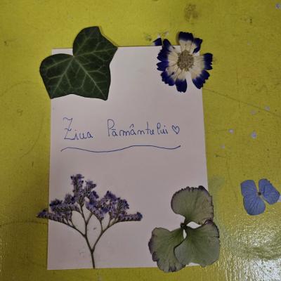 2804faa2 6158 4217 B632 0bf68cfa7b1d