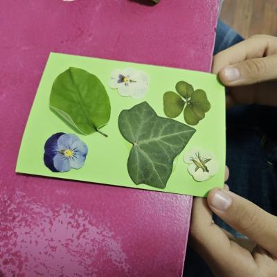 54081d17 436f 4b0d 8d3a Fc9e1a3a4d6a