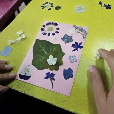 697d1bcb Bb57 4778 81ed 5e0e114c5c20