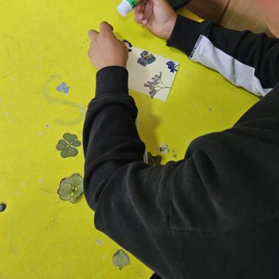 Ae36b605 6c4b 493e B0c3 545edbd14775