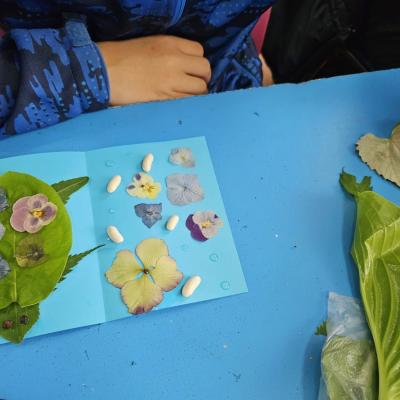 Ee7254a3 Dddc 4762 8be3 Bc16c98cf34d